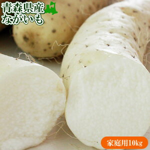 Gg[Ń|Cg5{  󂠂  X k ˒Y yXYȂƒp10kgz(13-24{O) ό`ERuȄ邯ǖ͐i JA䂤X   R
