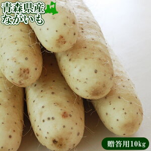 Gg[Ń|Cg5{  p X k ˒Y yXYȂp10kgz(2L`LTCY 12-15{) JA䂤X uȂԂ肢vȂ [퉷/Yn