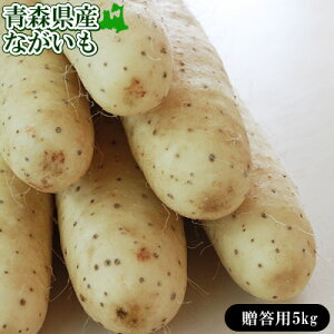  p X k ˒Y yXYȂp5kgz(2L`LTCY6-8{) JA䂤X uȂԂ肢vȂ [퉷/Yn̂ߓs] O[WA