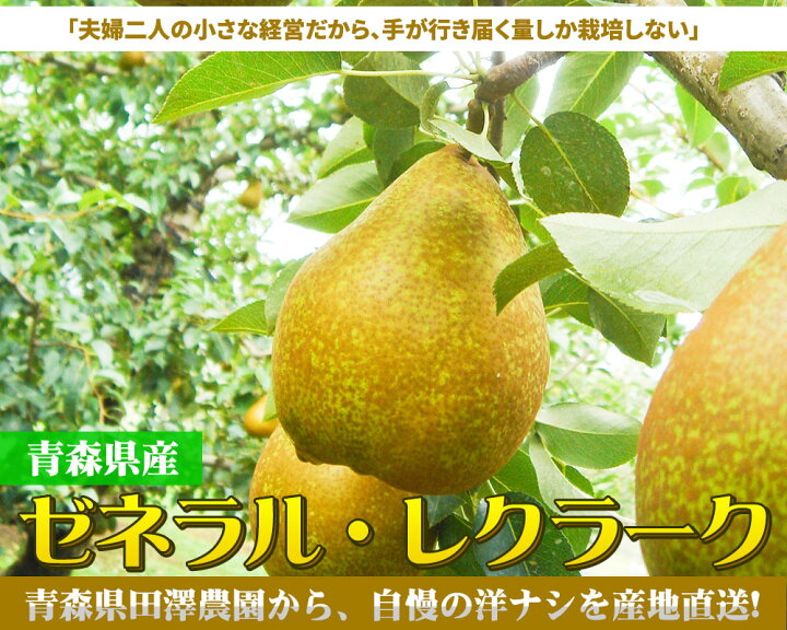 楽天市場】エントリーでポイント5倍 洋梨 送料無料 【青森県産 