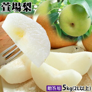 Gg[Ń|Cg5{ NoÂʏ`  a yꗜ p5kgO 10-13 2Lȏz  lΓcʎYn! i킨C  󂠂  K L \I 쐅 