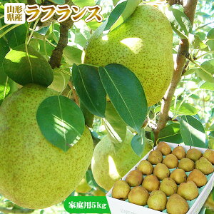 Gg[Ń|Cg5{ tX 󂠂  ƒp yR`Y m EtX 5kgz18-20(L-2L) [Yn̂ߑiƂ̓s]