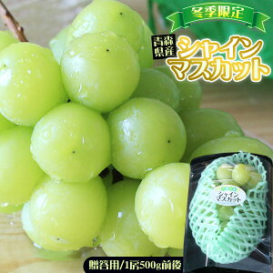 XY yԂǂ VC}XJbg 1[500gOzp  햳 }XJbg Ε Mtg[Yn̂ߓs]