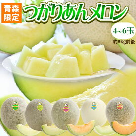 楽天市場 メロン 青森の通販