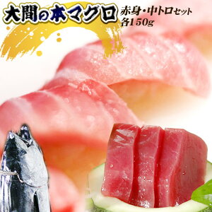 X  {}O  yԎY{܂ԐgEgZbgz Ԑg150g g150g ܂  }O  Ε [Ⓚ][s]