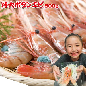 エントリーでポイント5倍 ロシア産【お刺身用 特大ボタンエビ 500g】 エビの王様とも称される、濃厚な甘味とぷりぷり食感が抜群の鮮度抜群極上ぼたんエビ! お刺身や天ぷら、塩焼きなどで