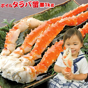 ���I��1/2�ő�100���|�C���g�o�b�N �y�{�C������ΊI�r 1kg�z �������� (1��)�@1����1kg�I��������Ɛg���l�܂��������E����^���o�I�r�I���������ς��ɖj����܂��� ���Ε�@�M�t�g[���Ⓚ��