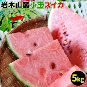 小玉スイカ 送料無料 メガ盛り 【青森県産 小玉すいか 5kg以上】 4〜6玉 ご家庭用規格 姫甘泉 野菜ソムリエ の川村農園から直送 岩木山 スイカ すいか 訳あり 西瓜 [※同梱不可][※配送指定不可・ご予約順の発送]