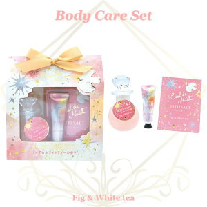 {fBPA Mtg VGhjC sN tBO zCgeB[ 3_Zbg {fB\[v  nhN[ MtgZbg v[g  lC MtgbsOΉ a  