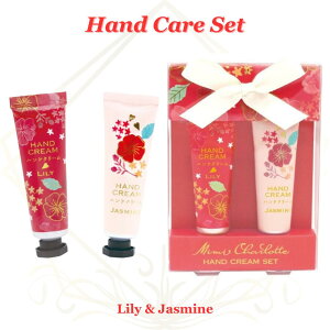 nhN[ Mtg ~~Vbg bh [ WX~ 10g×2{Zbg nhPA MtgZbg v[g  lC MtgbsOΉ a  Ԃ j