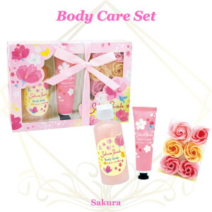 {fBPA Mtg p[h s[`  TN nhN[ {fB\[v oXRtFbeB  MtgZbg v[g  lC MtgbsOΉ a  