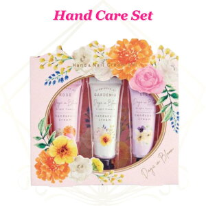 nhN[ Mtg [Y K[fjA [ 15g×3{Zbg fCYCu[ nhPAZbg MtgZbg v[g  lC MtgbsOΉ a  Ԃ j