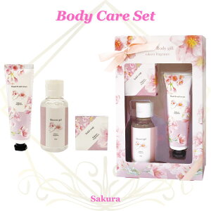 {fBPA Mtg  3_Zbg ق瓰  TN nhN[ {fBN[ \[v MtgZbg v[g  lC MtgbsOΉ a  Ԃ j