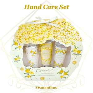 nhN[ Mtg IX}TX LNZC ؍ 20g×3{Zbg nhPA MtgZbg v[g  lC MtgbsOΉ a  Ԃ j