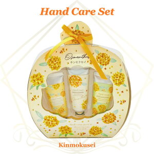 nhN[ Mtg LNZC ؍ 20g×3{Zbg nhPA MtgZbg v[g  lC MtgbsOΉ a  Ԃ j