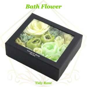  Ve[Y O[ efB[Y ouoX oXt[ oXy^  Mtg v[g lC bsOΉ a  Ԃ j