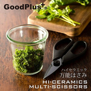 yȃN[|zz!12/320`zyzy{zLb`oT~ ͂ R  ꂪy  \ \ Kтɂ Lv AEghA NX}X VObhv