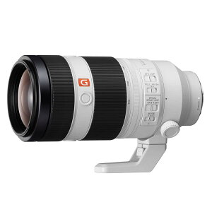 SONY(\j[) ]Y[Y tTCY FE 100-400mm F4.5-5.6 GM OSS G Master fW^J[E}Eg]p Y SEL100400GM