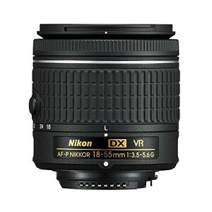 Nikon AF-P DX NIKKOR 18-55mm f/3.5-5.6G VR Lens for Nikon DSLR Cameras [sAi]