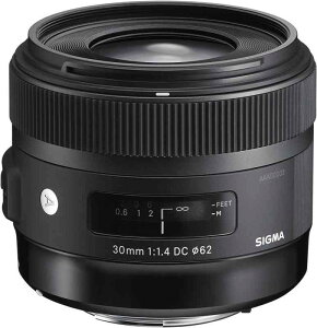 VO}(Sigma) SIGMA 30mm F1.4 DC HSM | Art A013 | Sony A}Eg | APS-C/Super35