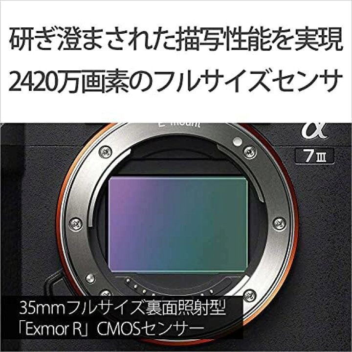 楽天市場】【12/19~26限定!最大4,000円OFF&12/20,25限定で最大P3倍 