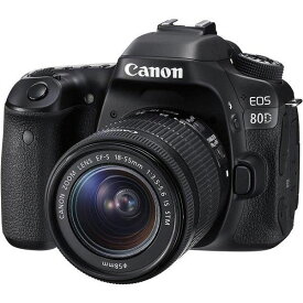【中古】キヤノン Canon EOS 80D レンズキット EF-S18-55mm F3.5-5.6 IS STM 付属 SDカード付き