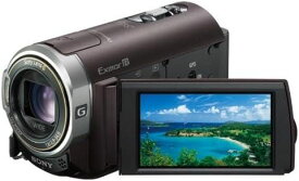 【中古】ソニー SONY デジタルHDビデオカメラレコーダー CX370V ボルドーブラウン HDR-CX370V/T