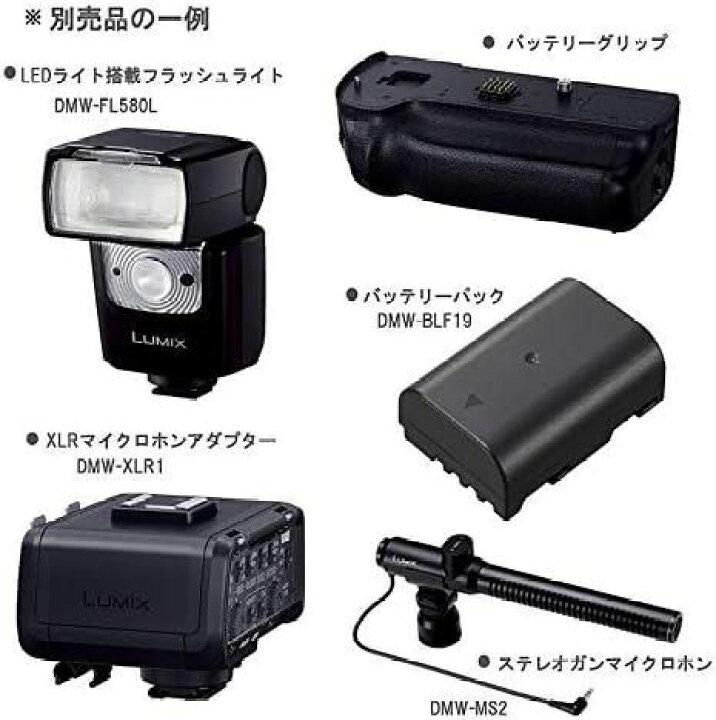 楽天市場】【中古】 パナソニック ミラーレス一眼カメラ ルミックス 