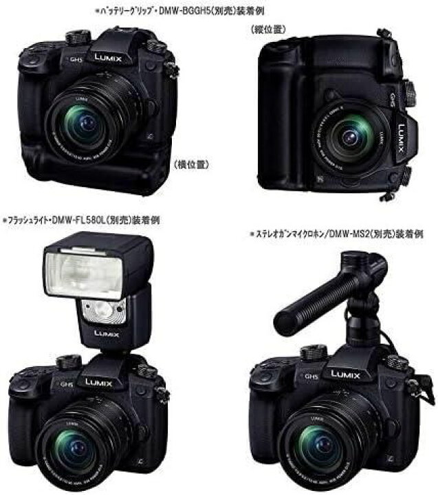 楽天市場】【中古】 パナソニック ミラーレス一眼カメラ ルミックス 