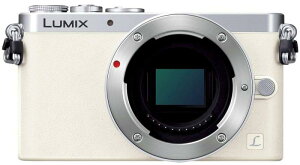 Panasonic fW^J ~bNX GM1 zCg DMC-GM1 {fB