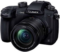 楽天市場】lumix dc-gh5s（レンズマウントタイプパナソニック）の通販