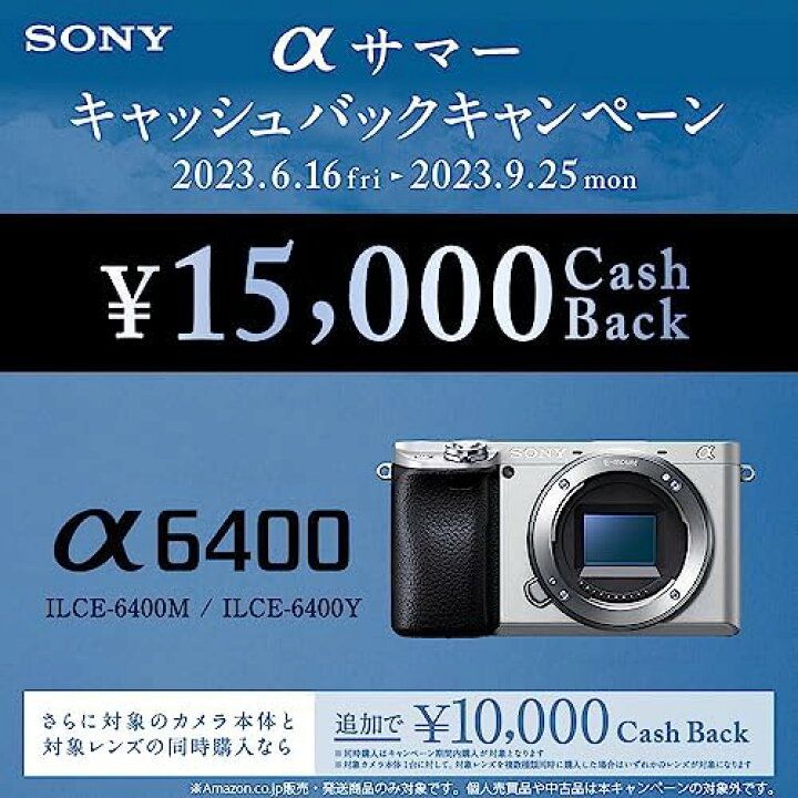 楽天市場】【4/4~10限定!最大4,000円OFF&4/5,4/10限定で最大P3倍 