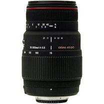 楽天市場】sigma 300mm canonの通販