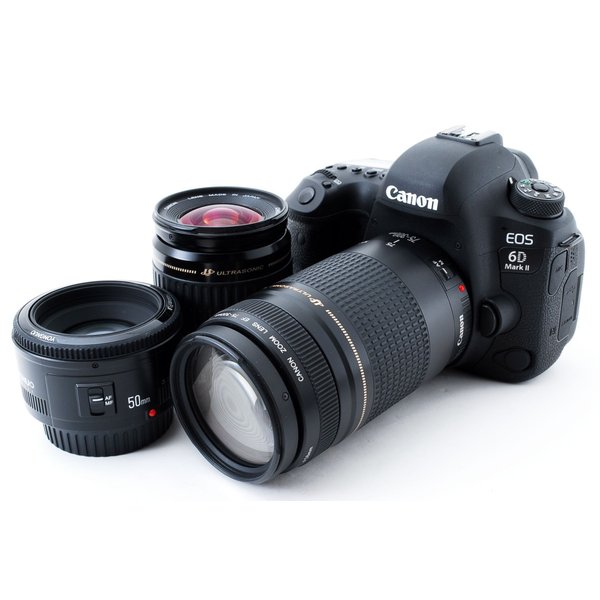 交換無料！ キヤノン Canon EOS 6D Mark II 標準超望遠 単焦点トリプル