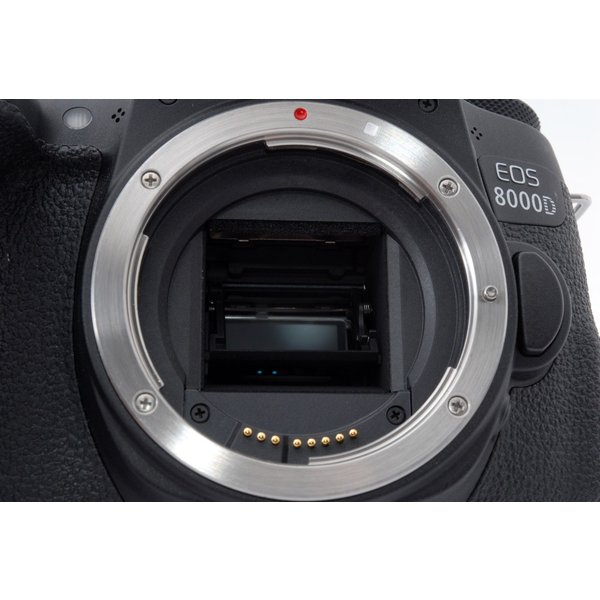 【中古】キヤノン Canon EOS 8000D 標準&超望遠ダブルズームセット 美品 SDカード付き |  カメラFanks-PROShop2nd楽天市場店