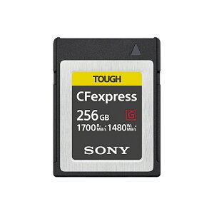 SONY \j[ CFexpress Type B [J[h 256GB CEB-G256