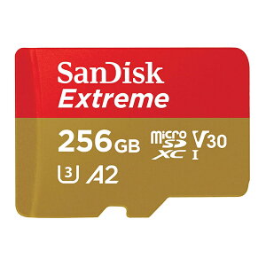 y[ցzTfBXN Extreme microSDXC J[h 256GB SDSQXAV-256G-GN6MNyCOpbP[Wz