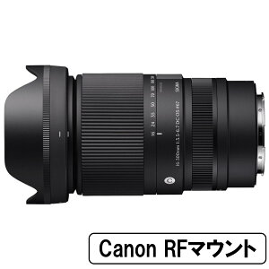 [Vi]SIGMA VO} 16-300mm F3.5-6.7 DC OS | Contemporary LmRF}Egp
