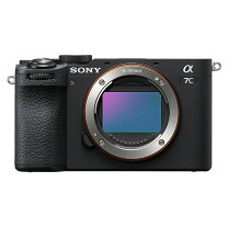 楽天市場】ソニー α7 IIの通販
