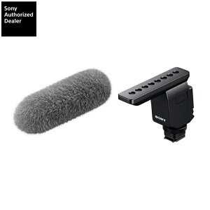 SONY VbgK}CNz ECM-B1M