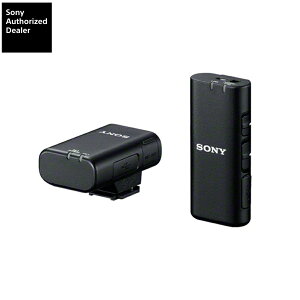 SONY CX}CNz ECM-W2BT