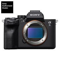 楽天市場】α7siii ケージの通販