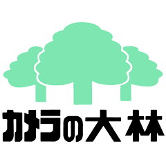 カメラの大林楽天市場店