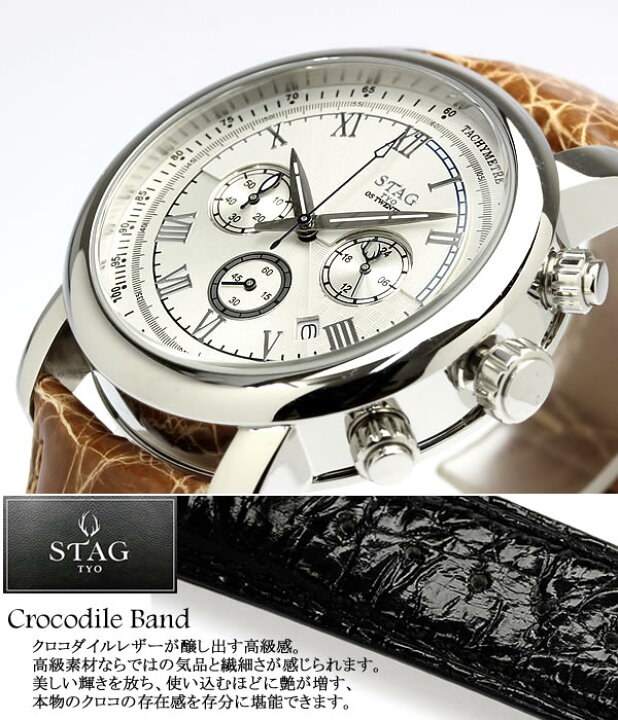 STAG TYOメンズ時計SGT 019S2