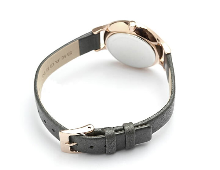 Stainless Steel Skagen Anita Skw2267 Skagen Anita Blau Skagen