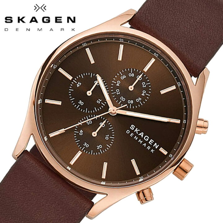 楽天市場】SKAGEN スカーゲン 腕時計 レディース HOLST ホルスト 