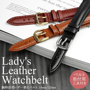 vxg rvp ւxg {vU[oh fB[X 14mm 12mm BAZZIO łǂ EHb` belt