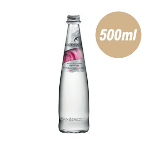 Txlfbg SAN BENEDETTO / h vXe[WE[YEGfBV h i` ~lEH[^[ i XeB j 500ml VR VR   r i`EH[^[ C^A 