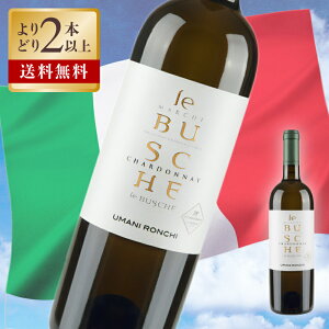 E}jL /  uXP }P rAR 2022 x 13% 750ml C t{fB h }P Vhl IGP C^A C  C^AC 󏭃AC  \G Mtg v[