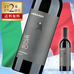 ufB / }[j S[j b\ 2023 x 14.5% 750ml ԃC t{fB h JuA }IbR DOP C^A C  C^AC 󏭃AC  \G Mtg 